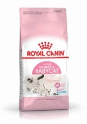 Royal Canın - Royal Canin Mother & Baby Cat Yavru Kedi Maması 4 Kg. (1)