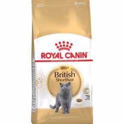 Royal Canın - Royal Canin British Shorthair Kedi Maması 2 Kg.