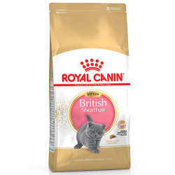 Royal Canın - Royal Canin British Shorthair Kitten 2 Kg.