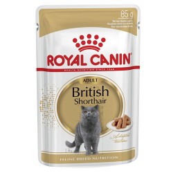 Royal Canın - Royal Canin British Shorthair Yetişkin Kedi Konservesi 85 Gr.