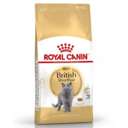 Royal Canın - Royal Canin British Shorthair Yetişkin Kedi Maması 4 Kg.