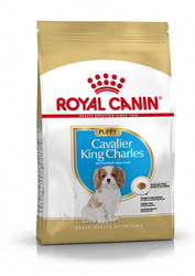 Royal Canın - Royal Canin Cavalier King Charles Junior Yavru Köpek Maması 1,5 Kg.