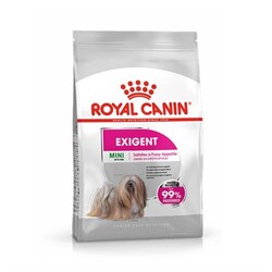 Royal Canın - Royal Canin Ccn Mini Exigent Yetişkin Köpek Maması 3 Kg.