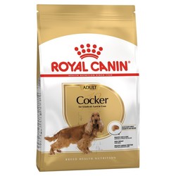 Royal Canın - Royal Canin Cocker Irkına Özel Mama 3 Kg.