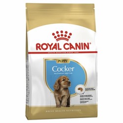 Royal Canın - Royal Canin Cocker Junior Yavru Cocker İçin Mama 3 Kg.