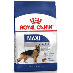 Royal Canın - Royal Canin Maxi Adult Büyük Irk Yetişkin Köpek Maması 15 Kg.