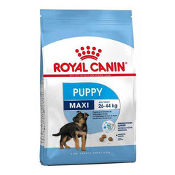 Royal Canın - Royal Canin Maxi Puppy Büyük Irk Yavru Köpek Maması 15 Kg.