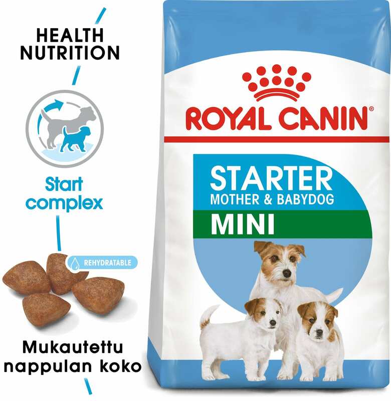 Royal Canin Mini Starter Yavru Kuru Köpek Maması 4 Kg. - Thumbnail