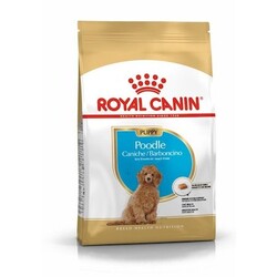 Royal Canın - Royal Canin Poodle Puppy Köpek Maması 3 Kg.