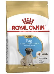 Royal Canın - Royal Canin Pug Junior Yavru Pug İçin Mama 1.5 Kg.