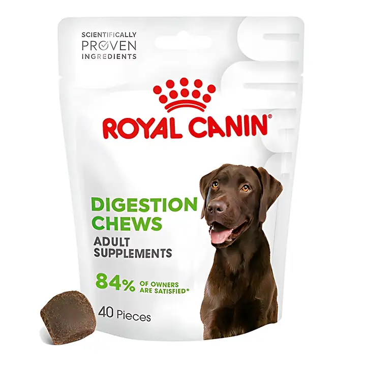 Royal Canın - Royal Canin Sindirim Sistemi Destekli Yetişkin Köpek Ödül Maması 160gr