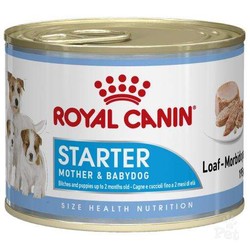 Royal Canın - Royal Canin Starter Mousse Yavru Köpek Konservesi 195 Gr.