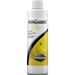 Seachem -  Seachem Amguard 250Ml