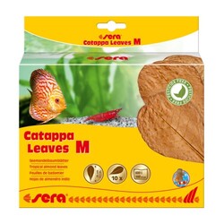 SERA - sera catappa yaprağı M 18 cm (10 adet)