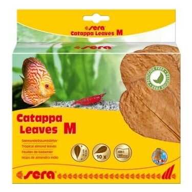 Sera Catappa Yaprağı M 18 Cm (10 Adet)