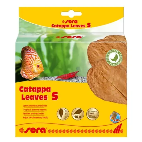 Sera Catappa Yaprağı S 14 Cm (10 Adet)