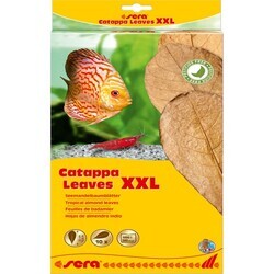 SERA - sera catappa yaprağı XXL 32 cm (10 adet) (1)