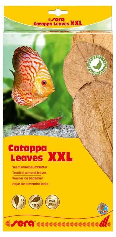 Sera Catappa Yaprağı Xxl 32 Cm (10 Adet)