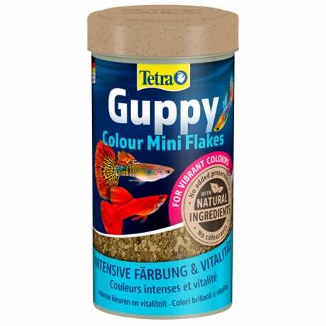 Tetra Yem - Tetra Guppy Colour Mini Flakes Lepistes Pul Balık Yemi - 250ML