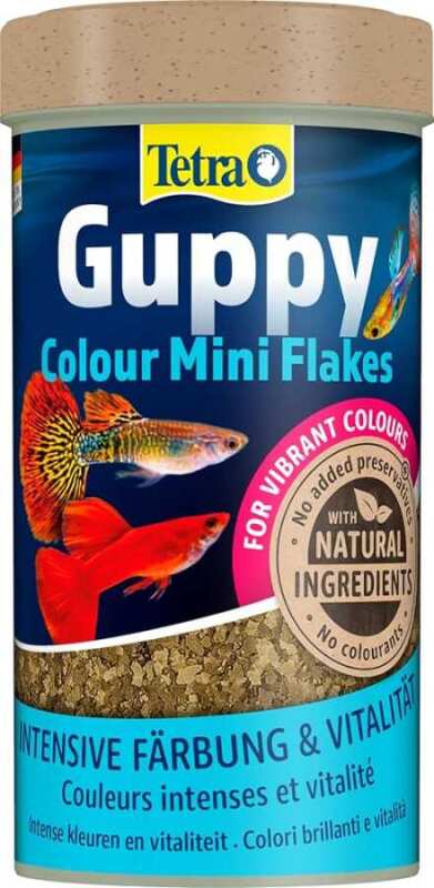 Tetra Guppy Colour Mini Flakes Lepistes Pul Balık Yemi - 250Ml