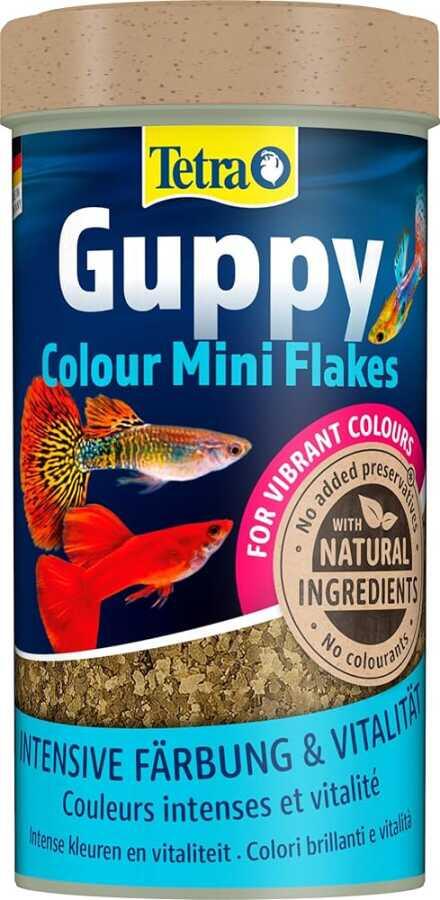 Tetra Guppy Colour Mini Flakes Lepistes Pul Balık Yemi - 250Ml - 1