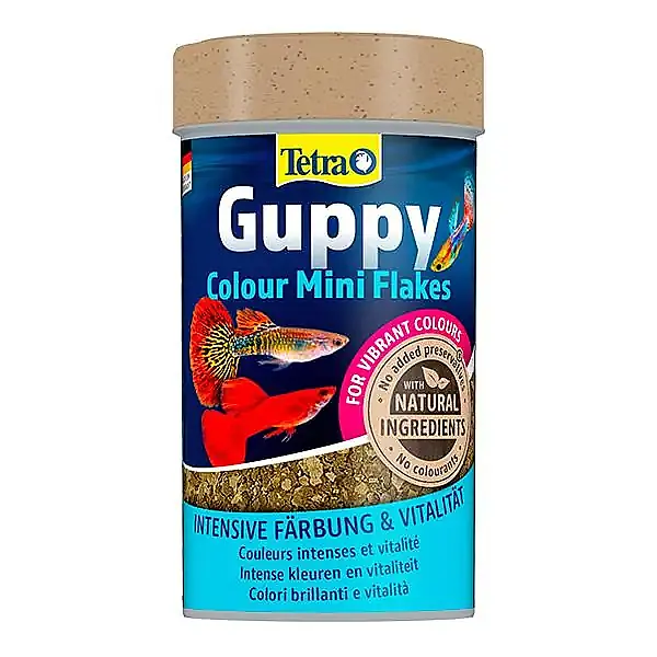 Tetra Guppy Colour Mini Flakes Pul Lepistes Yemi 100ml - 1