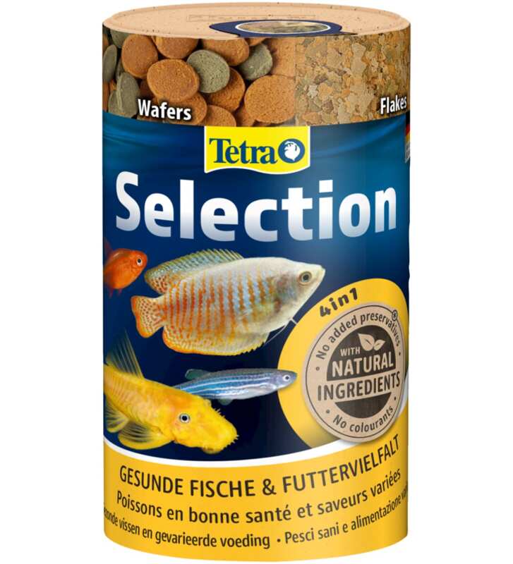 Tetra Selection 4 İn 1 100 Ml / 45 Gr