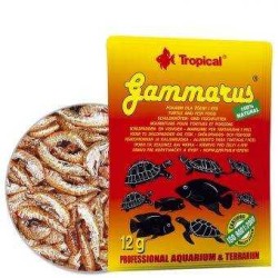 Tropical - Tropical Gammarus Folyo 12 Gr