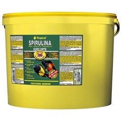 Tropical - Tropical Super Spirulina Forte Flake 11Lt / 2000Gr. (Pul)