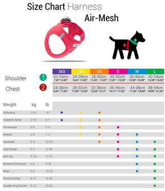 Tailpetz - Weepetz Köpek Göğüs Tasması Mavi S