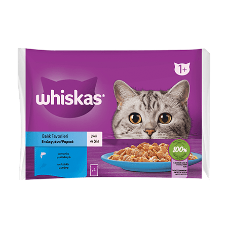 Whiskas - Whiskas Pouch Jöle İçinde Somonlu ve Ton Balıklı Yetişkin Kedi Konservesi 85gr (4'lü)